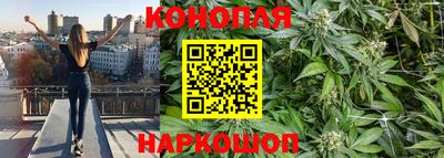 сатива Кинель