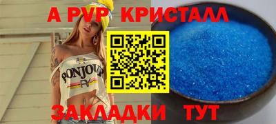 герыч Кингисепп