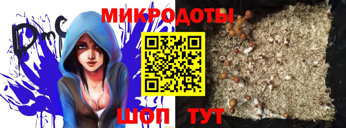 Псилоцибиновые грибы Psilocybine cubensis Черкесск